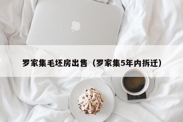罗家集毛坯房出售（罗家集5年内拆迁）