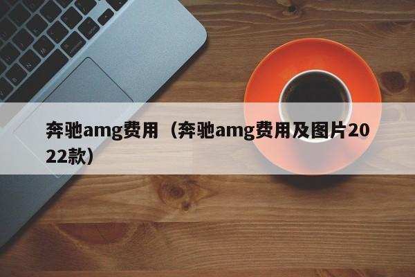 奔驰amg费用（奔驰amg费用及图片2022款）