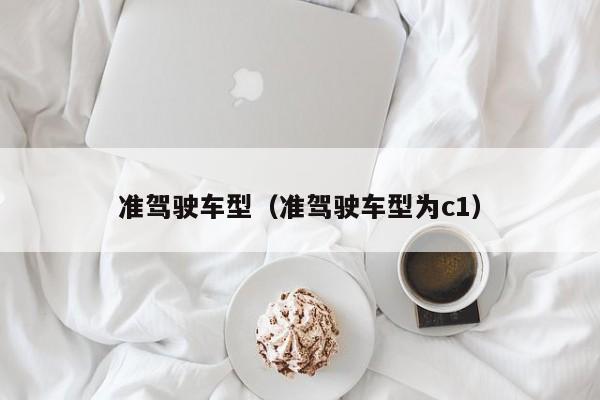 准驾驶车型（准驾驶车型为c1）