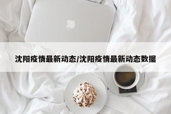 沈阳疫情最新动态/沈阳疫情最新动态数据