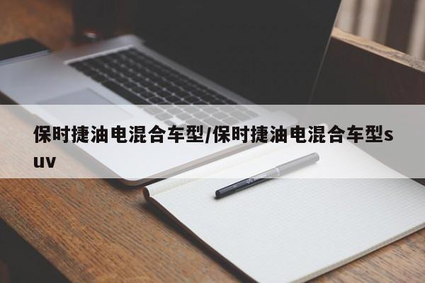 保时捷油电混合车型/保时捷油电混合车型suv