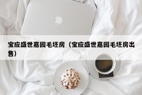 宝应盛世嘉园毛坯房（宝应盛世嘉园毛坯房出售）