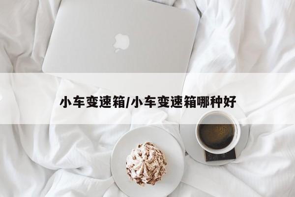 小车变速箱/小车变速箱哪种好