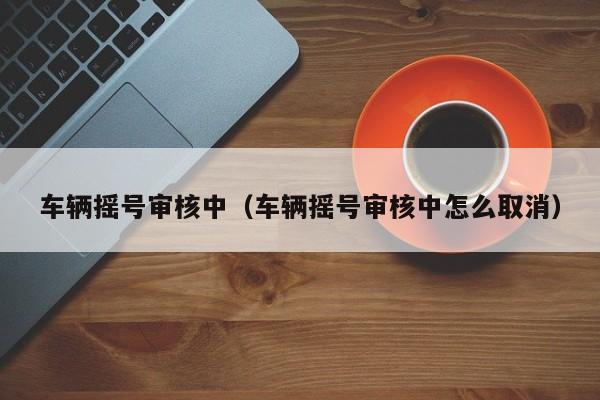 车辆摇号审核中（车辆摇号审核中怎么取消）