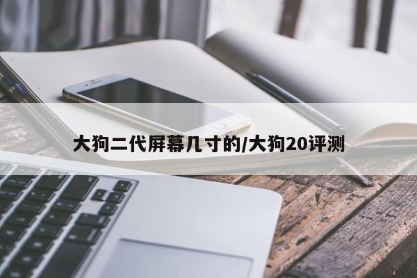 大狗二代屏幕几寸的/大狗20评测